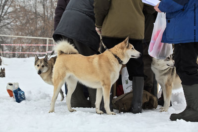 IMG_0062-Л.JPG