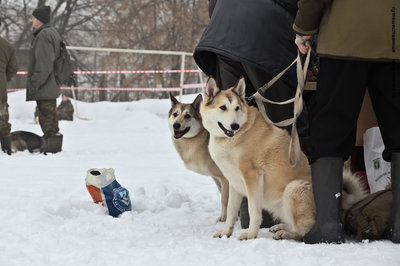 IMG_0061-Л.JPG