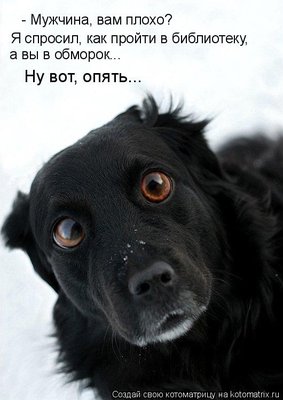 как пройти.jpg