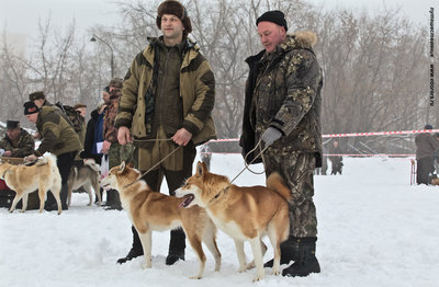 IMG_0070-Л.JPG