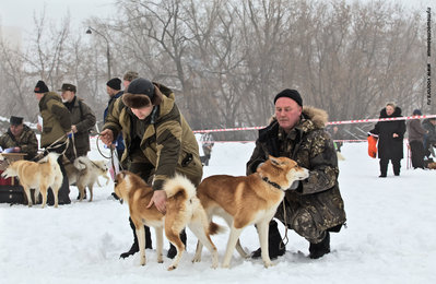 IMG_0068-Л.JPG