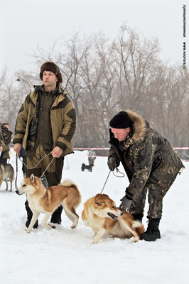 IMG_0067-Л.JPG