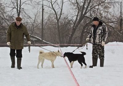IMG_0065-Л.JPG