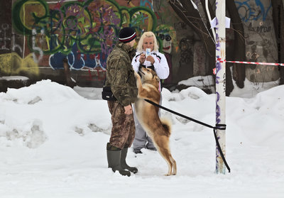IMG_0074-Л.JPG