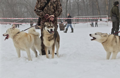 IMG_0083-Л.JPG