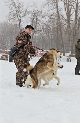 IMG_0082-Л.JPG