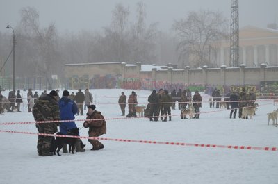 Изображение 102.jpg
