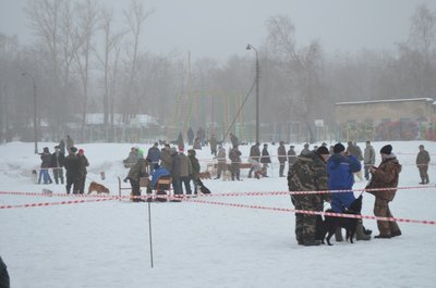 Изображение 103.jpg
