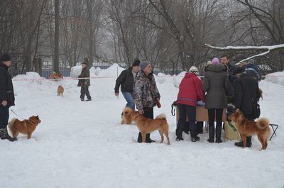 Изображение 119.jpg
