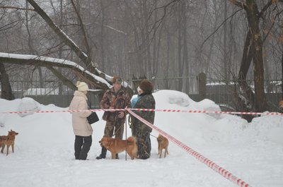 Изображение 123.jpg