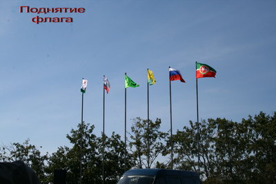 IMG_8742.jpg