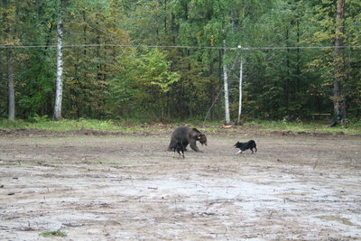 IMG_8859.JPG