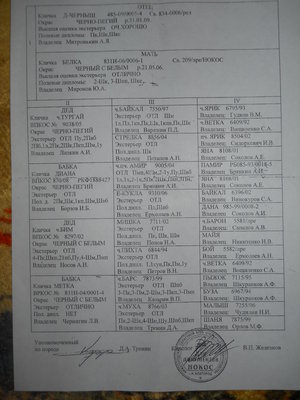 DSCN0635.JPG