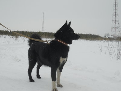 DSCN2636.JPG