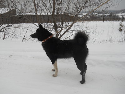 DSCN2637.JPG