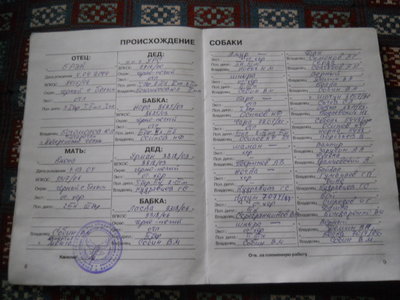 DSCN2768.JPG