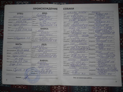 DSCN2759.JPG