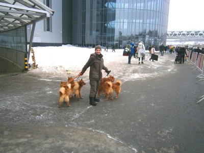 Только вперёд, и все вместе.JPG