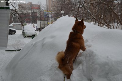 Веня 3.jpg
