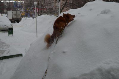 Веня 5.jpg