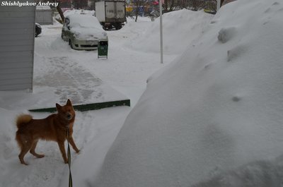 Веня 4.jpg