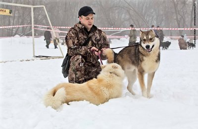 IMG_0096-Л+Ф.JPG