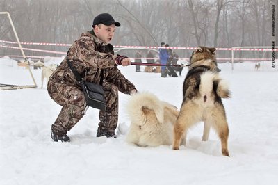 IMG_0095-Л+Ф.JPG