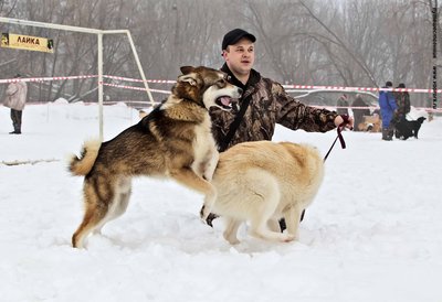 IMG_0094-Л+Ф.JPG
