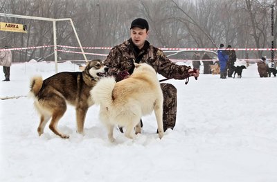 IMG_0093-Л+Ф.JPG