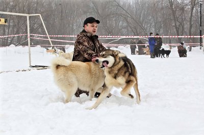 IMG_0092-Л+Ф.JPG