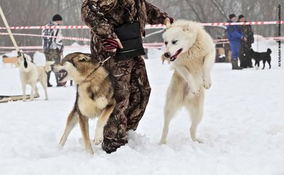 IMG_0086-Л+Ф.JPG
