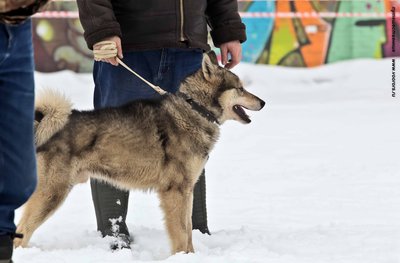 IMG_0102-Л+Ф.JPG