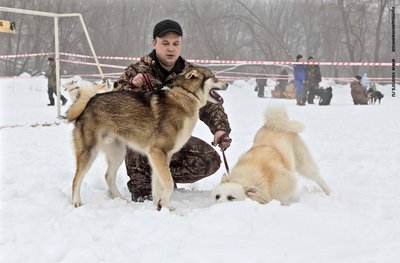 IMG_0097-Л+Ф.JPG
