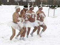 лебеди.jpg