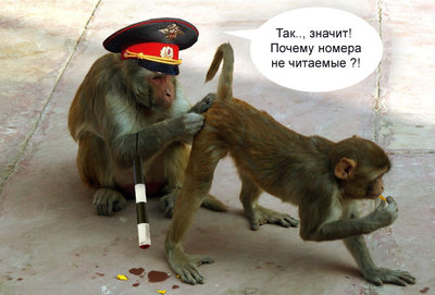 номера.jpg