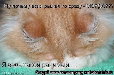 ранимый.jpg