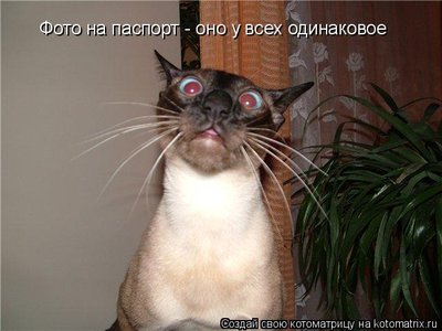фото.jpg