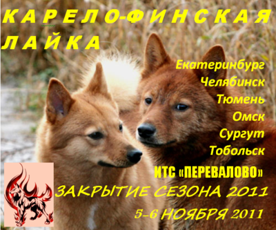 Снимок.PNG
