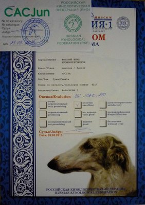 Евразия  2013.JPG