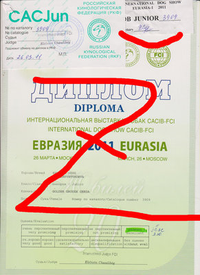 gerda_dip1.jpg