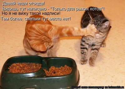 слепой.jpg