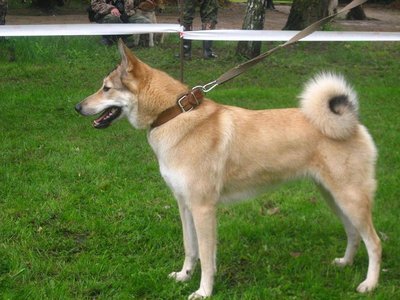 Копия IMG_4296.JPG