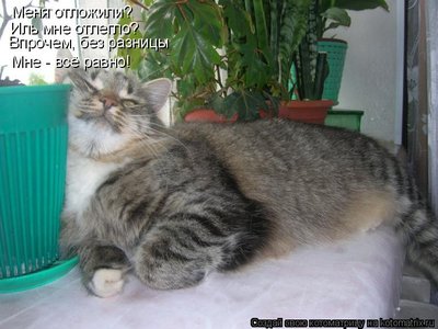 отлегло.jpg