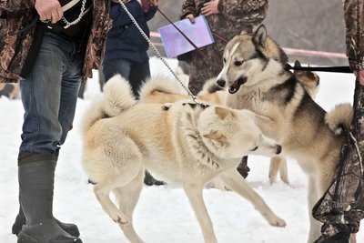 IMG_0119-Л+Ф.JPG