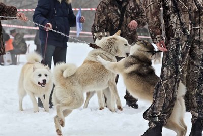 IMG_0117-Л+Ф.JPG