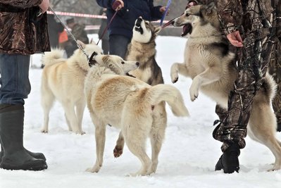 IMG_0116-Л+Ф.JPG