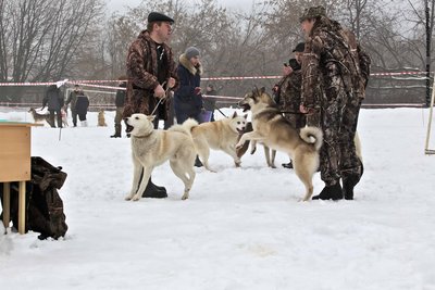 IMG_0114-Л+Ф.JPG