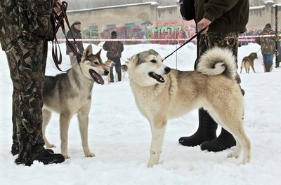 IMG_0112-Л+Ф.JPG