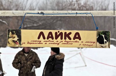 IMG_0132-Л+Ф.JPG