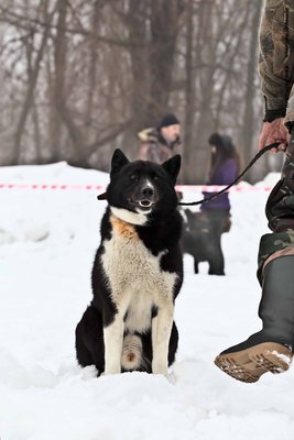 IMG_0130-Л+Ф.JPG